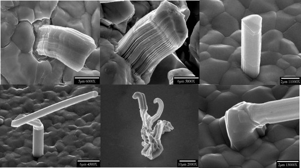 ʮ�������Ϸƽ̨��վ(����)���޹�˾